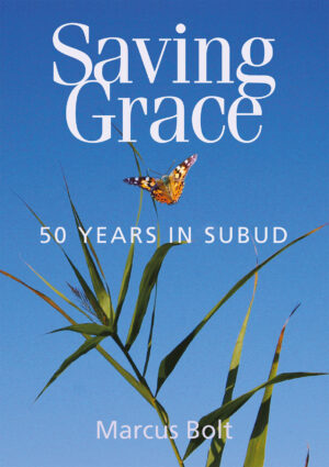 Saving Grace – Fifty Years In Subud by Marcus Bolt